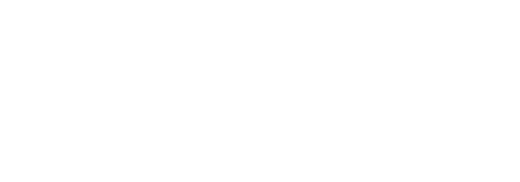 Logo Mobility Investment Group wit
